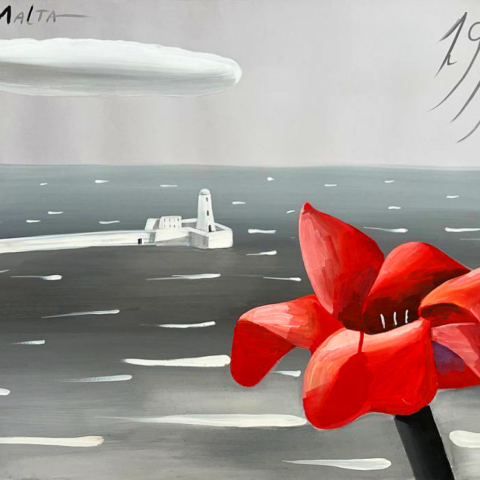 Amaryllis