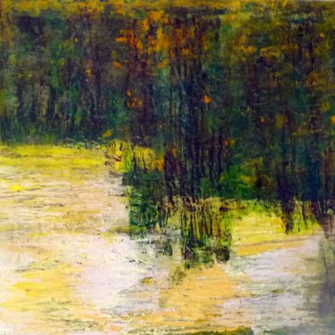Forest’s Edge