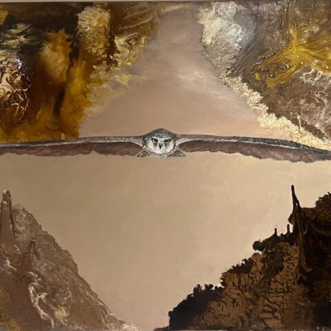 Wisdom Of The Floating Mountains