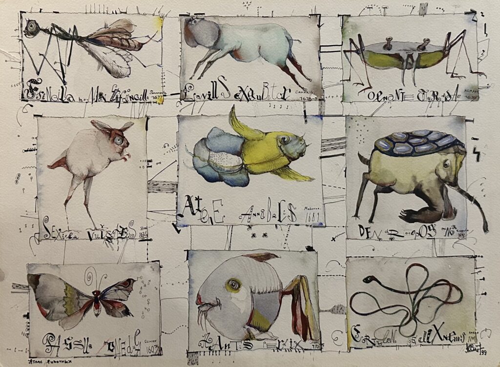 The Animal Alphabet
