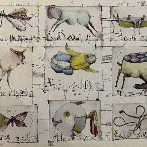 The Animal Alphabet